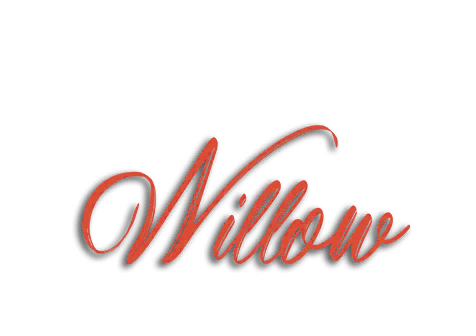 Willow