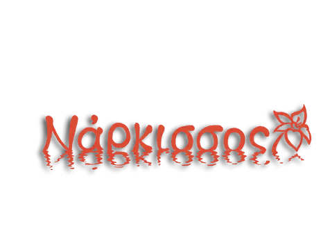 Narcissus