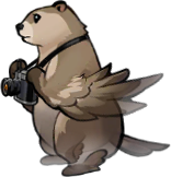 Udimo