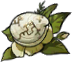 Udimo