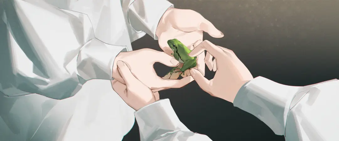 Hyla Arborea